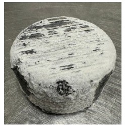 CHEVRE CENDRE